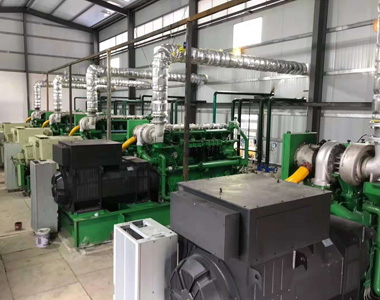 云南某发电项目配千亿中国有限公司官网800kw/10.5kv 高压发电机