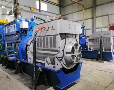 丰都甘泰沼气发电项目配千亿中国有限公司官网2台850KW/10.5KV6极高压发电机